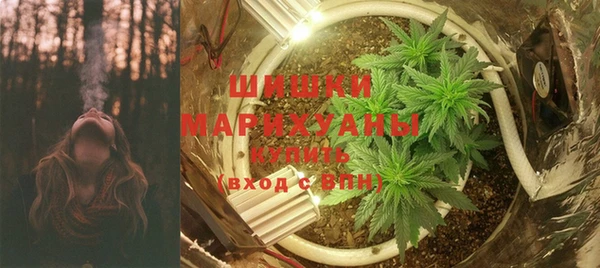 мдпв Бородино