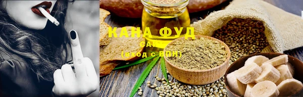 мдпв Бородино