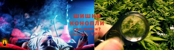 мдпв Бородино