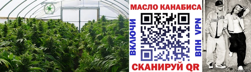 закладки  Можайск  ТГК концентрат 